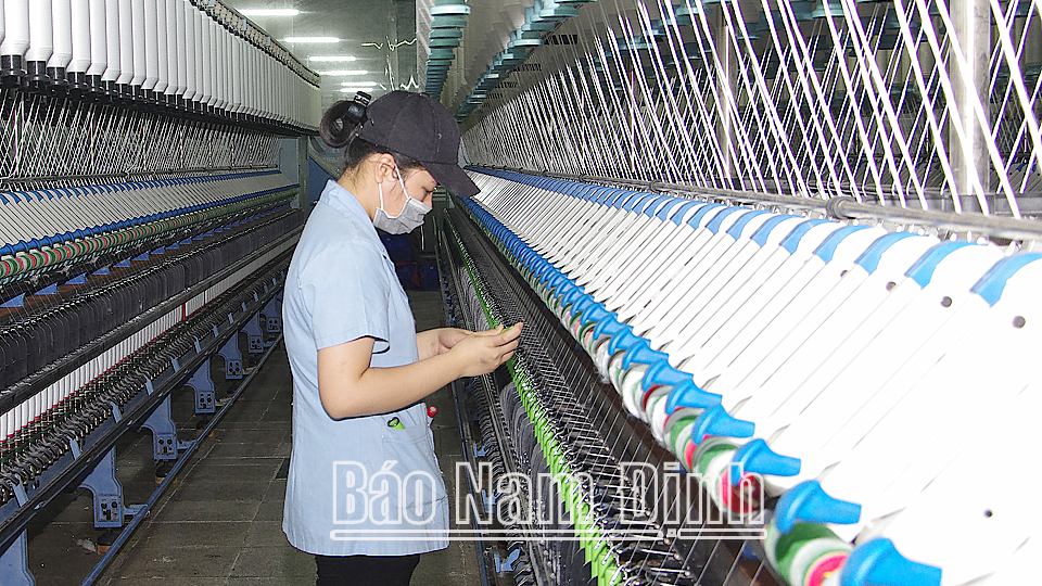 Vận hành dây chuyền sản xuất sợi xuất khẩu ở Tổng Công ty Cổ phần Dệt may Nam Định.

Ảnh: Xuân Thu