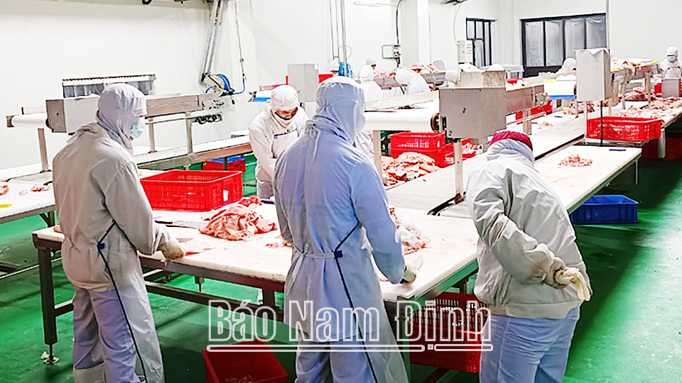 Lực lượng chức năng kiểm tra, đóng dấu kiểm dịch chất lượng thịt lợn tại Công ty TNHH DHSF North, xã Hải Nam (Hải Hậu).

