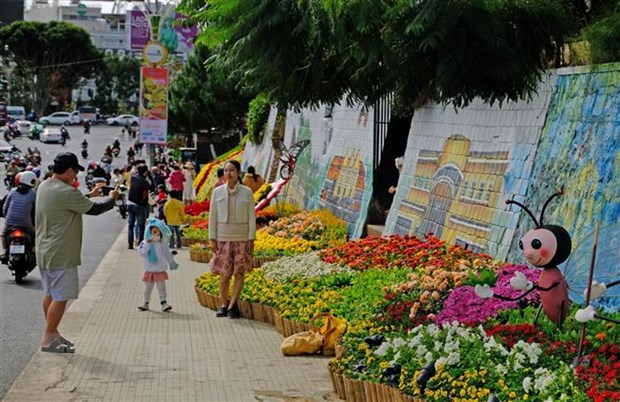 Không gian hoa trên đường Lê Đại Hành (khu Hòa Bình, Đà Lạt) rực rỡ sắc hoa chào đón Festival hoa lần thứ 9. 
Ảnh: Nguyễn Dũng/TTXVN
