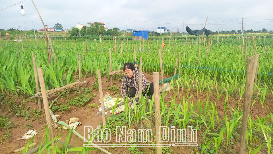 Nông dân Mỹ Lộc tham gia xây dựng nông thôn mới nâng cao
