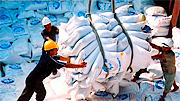 Kim ngạch xuất khẩu gạo bốn tháng đạt hơn 732 triệu USD