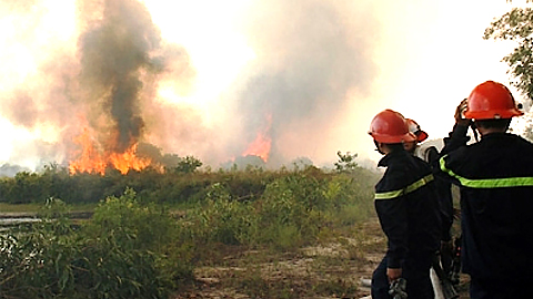 Thừa Thiên - Huế: Gần 25ha rừng tràm bị thiêu rụi