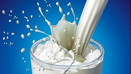 Protein trong sữa chống ung thư đại tràng