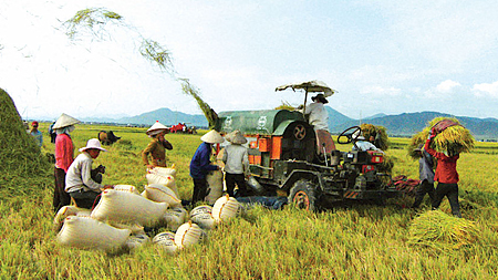 Một số điểm mới trong chính sách tín dụng phục vụ phát triển nông nghiệp, nông thôn