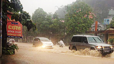 Yên Bái: Mưa lớn gây ngập úng nhiều nơi