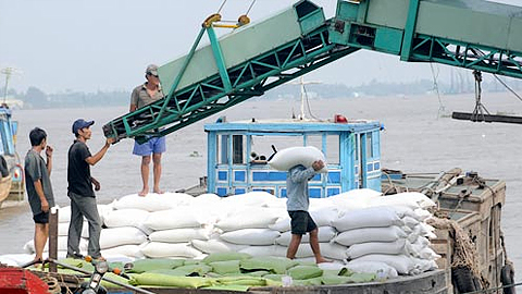 Năm 2016 sẽ xuất khẩu 5,7 triệu tấn gạo