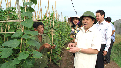 Hội Nông dân xã Giao Yến hỗ trợ nông dân phát triển sản xuất