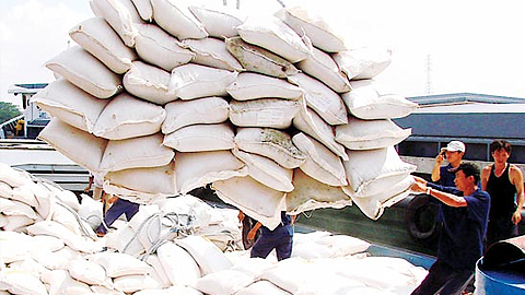 Kim ngạch xuất khẩu gạo giảm sâu
