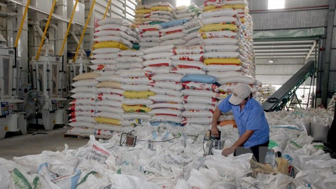 Phi-líp-pin sẽ mua thêm hơn 293 nghìn tấn gạo từ Việt Nam