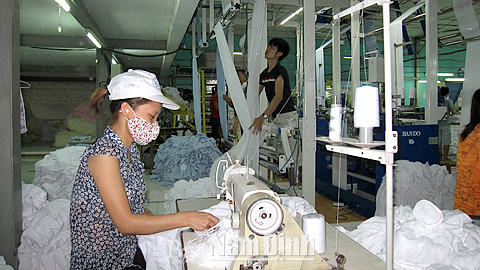 Doanh nhân Nam Định vững vàng hội nhập kinh tế quốc tế