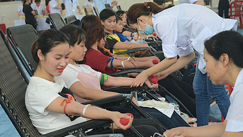 Nghệ An: Gần 1.000 sinh viên tham gia hiến máu tình nguyện