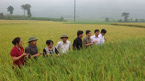 Hà Giang: Ðẩy mạnh phát triển các Chương trình nông nghiệp, nông thôn