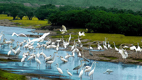 Tăng cường quản lý hoạt động du lịch sinh thái tại Vườn quốc gia Xuân Thủy