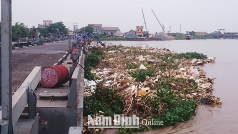 Lòng sông Ninh Cơ ngập rác