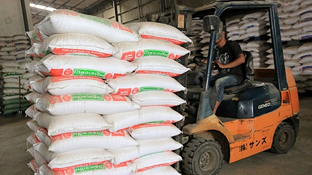 Lượng gạo xuất khẩu của Campuchia tăng