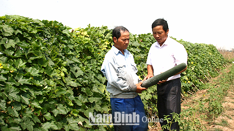 Công tác khuyến nông góp phần phát triển nông nghiệp ở Nghĩa Hưng