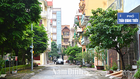 Đường phố Thành Nam: Phố Trần Quang Triều