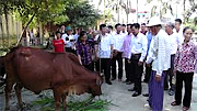 Trao tặng 60 con bò sinh sản cho các hộ gia đình có hoàn cảnh khó khăn