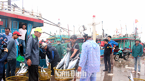 Ngăn chặn tình trạng khai thác hải sản bất hợp pháp