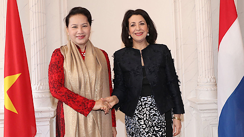 Chủ tịch Quốc hội Nguyễn Thị Kim Ngân hội đàm với Chủ tịch Hạ viện và Chủ tịch Thượng viện Hà Lan