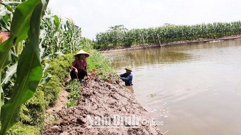 Hải Quang phát triển nuôi thủy sản