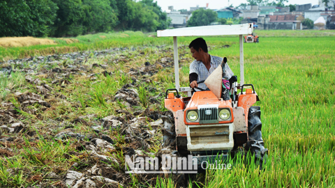 Agribank Nam Định đẩy mạnh cho vay phát triển kinh tế trang trại, gia trại