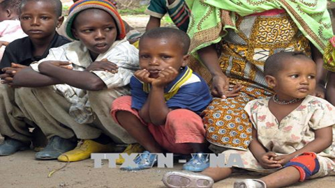 Giao tranh gia tăng, khoảng 7.000 người Trung Phi lánh nạn ở Congo