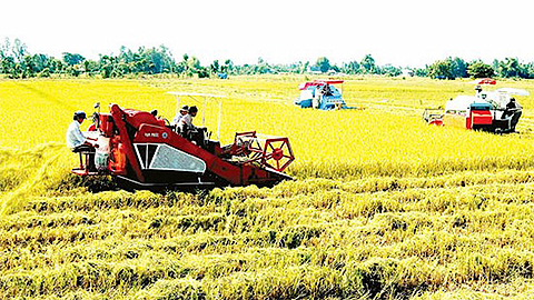 Quyết định của UBND tỉnh quy định giá thóc thu thuế sử dụng đất nông nghiệp năm 2018