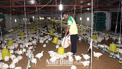 Tăng cường các biện pháp phòng chống nóng và dịch bệnh cho đàn vật nuôi