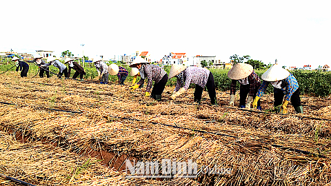 Nâng cao nhận thức về an toàn lao động và bảo vệ môi trường cho nông dân