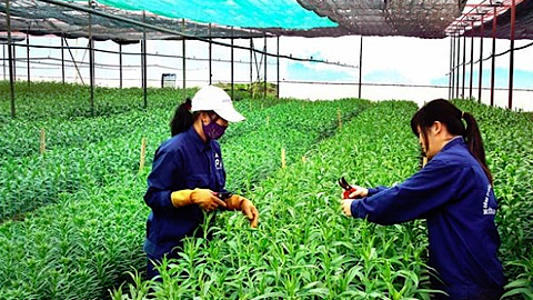 Cộng đồng ASEAN hướng tới nền nông nghiệp sáng tạo và đổi mới