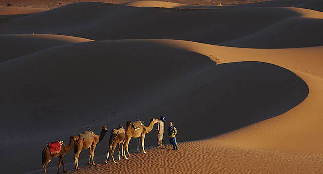 Sa mạc Sahara có thể biến thành nhà máy điện khổng lồ