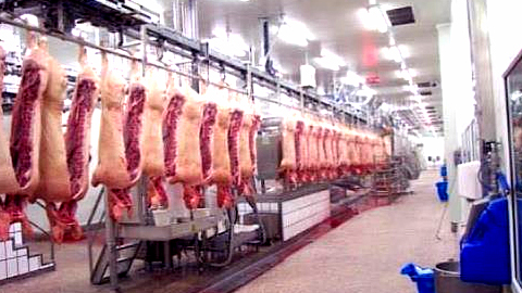 Công bố tiêu chuẩn quốc gia về thịt lợn mát