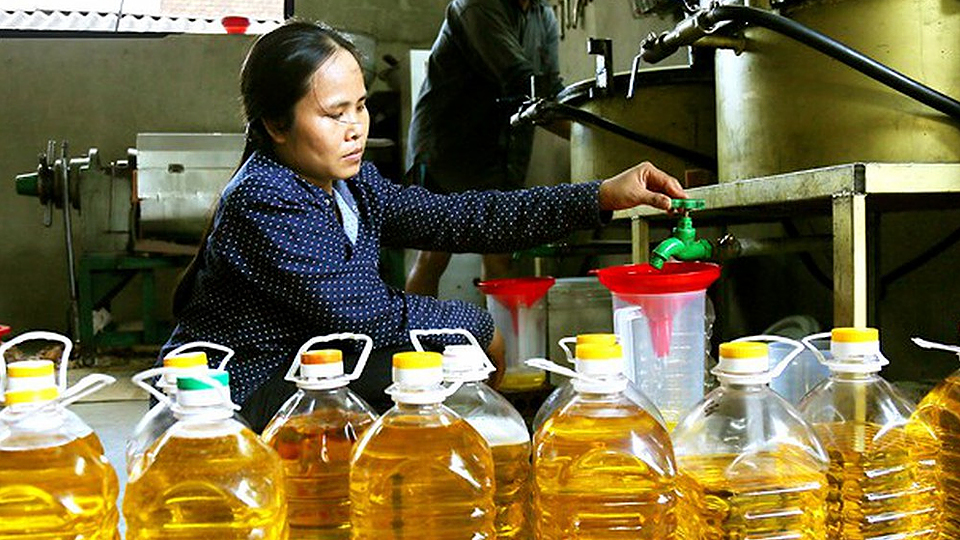 Ép dầu thực vật - nghề mới ở Yên Cường