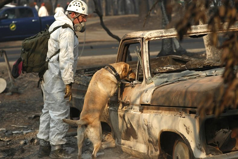 Cháy rừng tại California: Số người chết tiếp tục tăng, mưa có thể xuất hiện