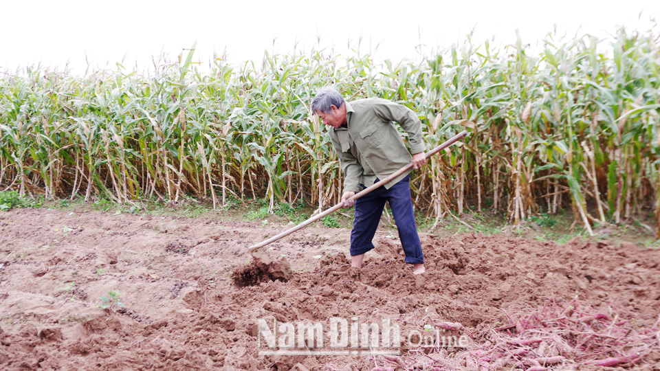 Nông dân Xuân Hồng đẩy mạnh tái cơ cấu nông nghiệp