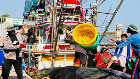 EU dỡ lệnh phạt đối với nghề cá Thái-lan