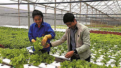 Cơ hội mới cho ngành Nông nghiệp Việt Nam