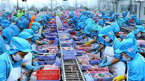 Việt Nam đứng thứ 4 thế giới về xuất khẩu thuỷ sản