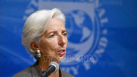 IMF dự báo tăng trưởng toàn cầu 2019 sẽ chậm hơn