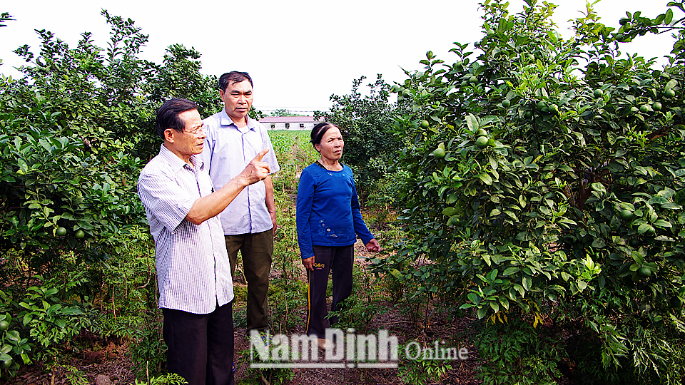 Hải Giang nâng cao thu nhập cho nông dân