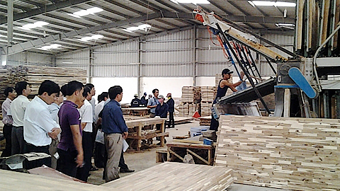 Bộ Công thương điều tra chống bán phá giá đối với sản phẩm ván gỗ công nghiệp