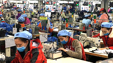 Hợp tác thúc đẩy xanh hóa ngành dệt may Việt Nam