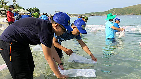 Khánh Hòa: Thả cá giống tái tạo nguồn lợi thủy sản trên Vịnh Nha Trang