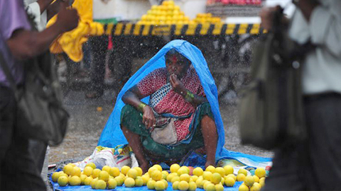 Ấn Độ đặt hy vọng vào mùa mưa để phát triển kinh tế