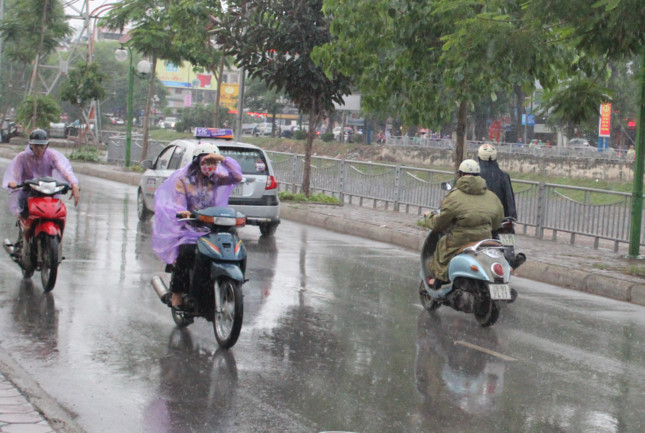 Tỉnh Nam Định có mưa dông diện rộng