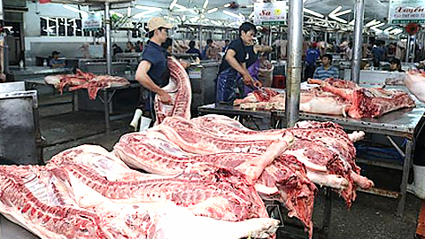Giá thịt lợn hơi tăng mạnh