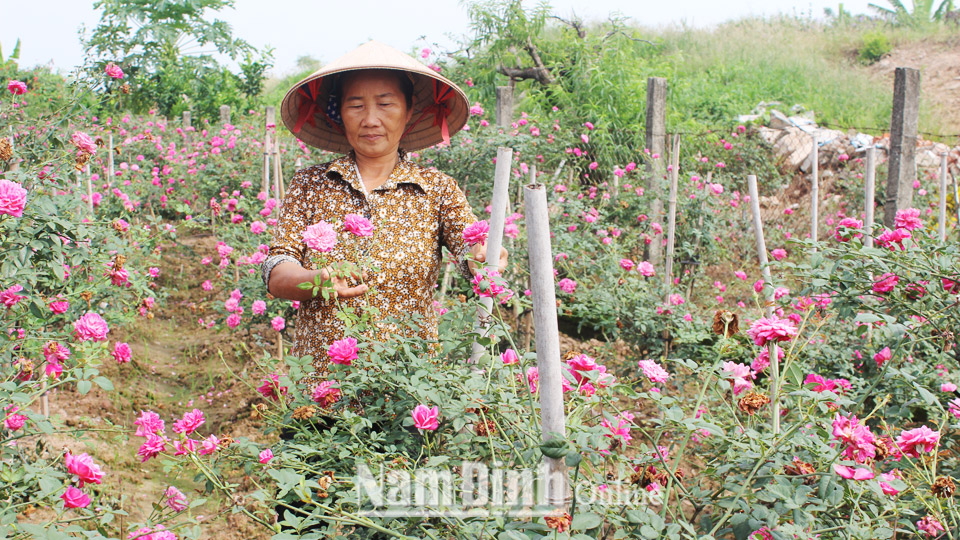 Phụ nữ Nam Định tích cực tham gia xây dựng nông thôn mới và đô thị văn minh