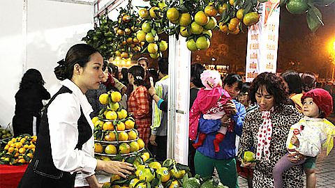 Hà Giang: Khai mạc hội chợ cam và các sản phẩm nông sản tiêu biểu