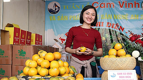Nghệ An: Lần đầu quảng bá đặc sản cam Vinh tại Hà Nội